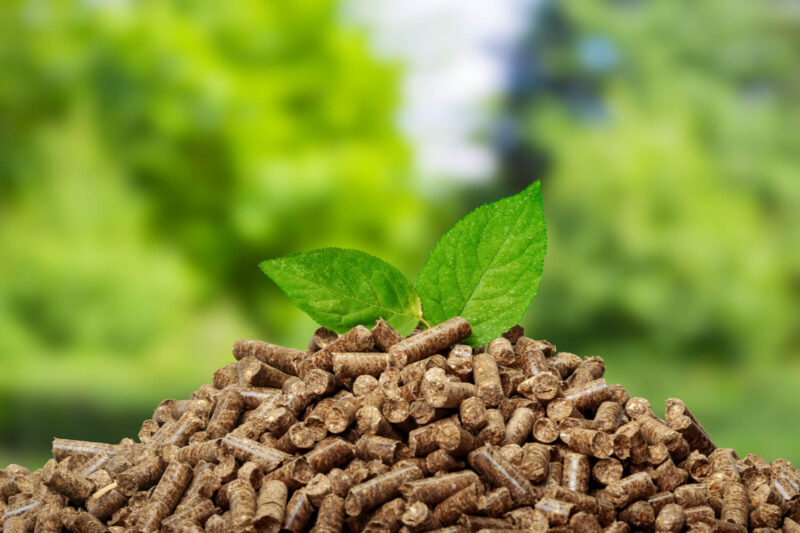 La biomasse est-elle toujours une ressource renouvelable